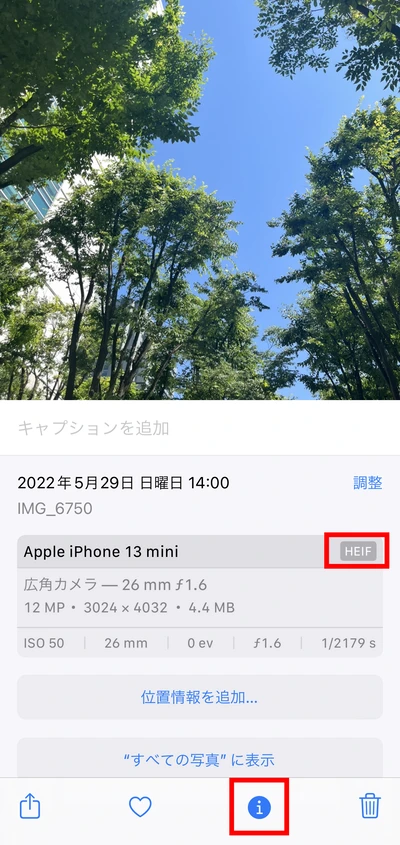 ⑩iPhone_ ファイル形式確認の画像