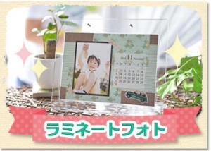 box_top_lami_250x350