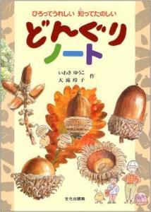 どんぐりノート