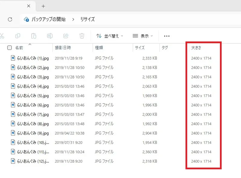 Caesium_説明画像05