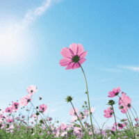 新作背景39