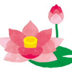 蓮のイラスト