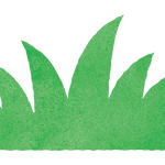茂みのイラスト