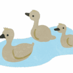 白鳥のイラスト