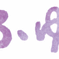 文字のイラストスタンプ（ふゆ）