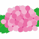 あじさいのイラスト