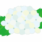 あじさいのイラスト