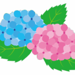 あじさいのイラスト
