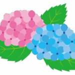 あじさいのイラスト
