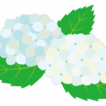あじさいのイラスト