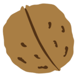 くるみのイラスト