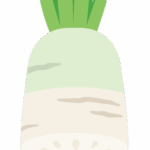 だいこんのイラスト