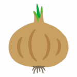 たまねぎのイラスト