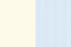 背景デザイン 2分割_01