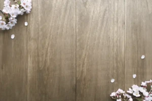 表紙デザイン その他_19