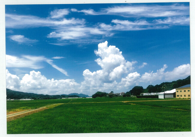 ペイントの画像
