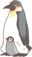 ペンギンのイラスト①